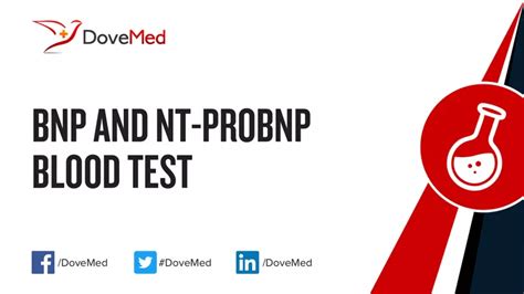 nt pro bnp blood test bottle|nt bnp blood test meaning.